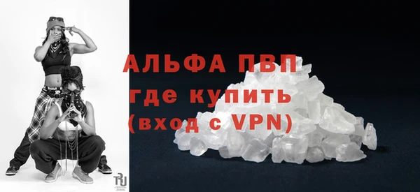 прущие крисы Белокуриха