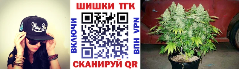 Канабис план  Тайга 